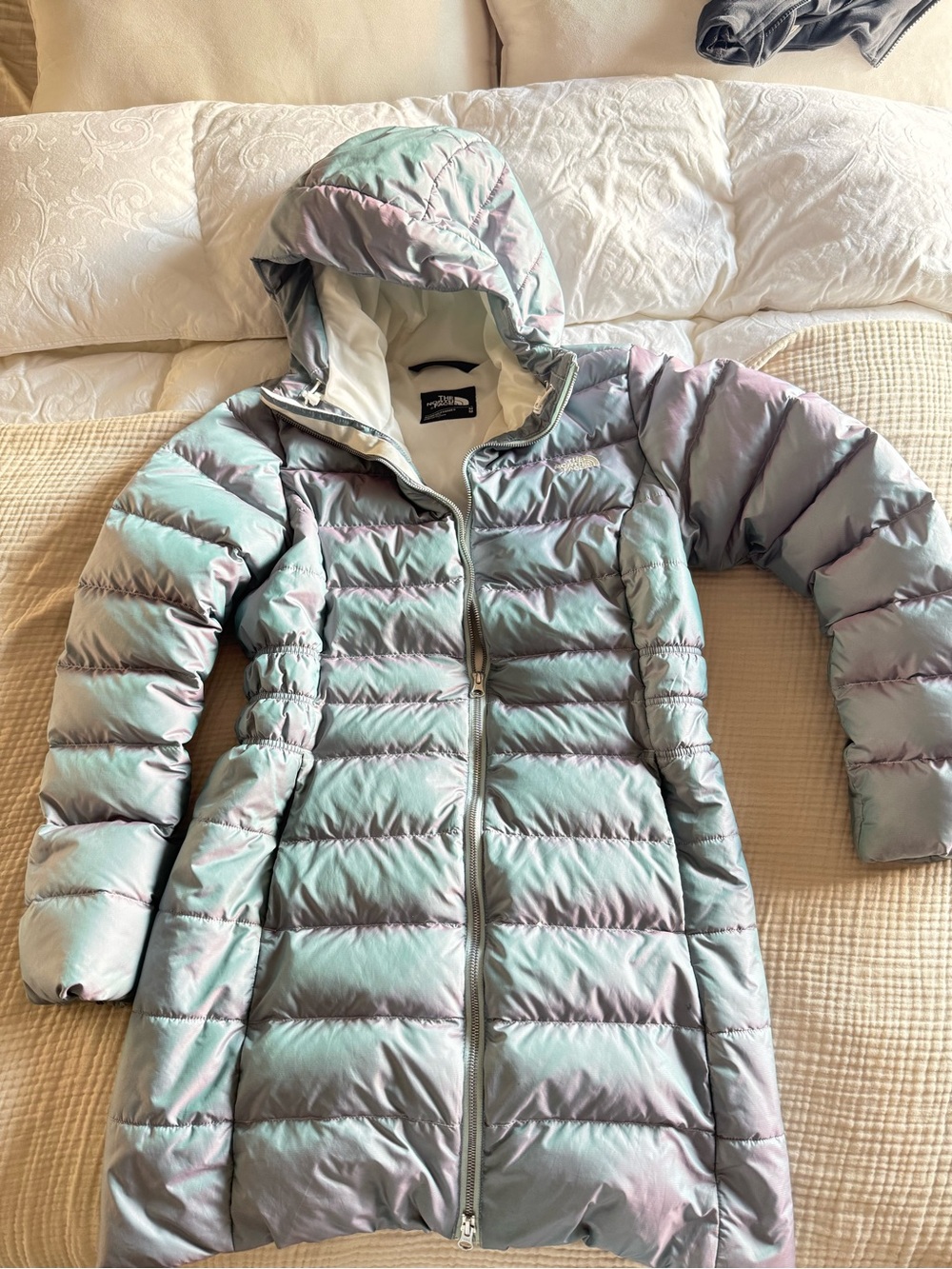 The north face Gotham Parka 550 doen